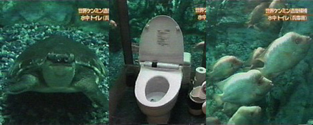 aquarium_toilet.jpg